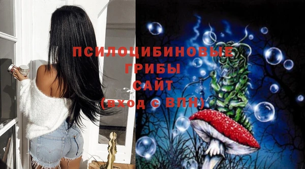 стафф Волоколамск