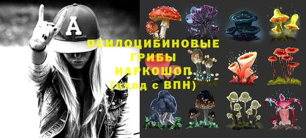 PSILOCYBIN Волосово