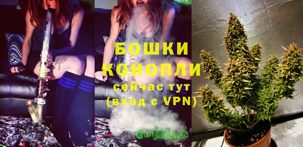 стафф Волоколамск