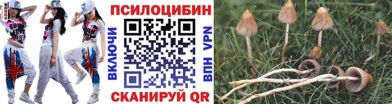 Галлюциногенные грибы мицелий  Томилино 